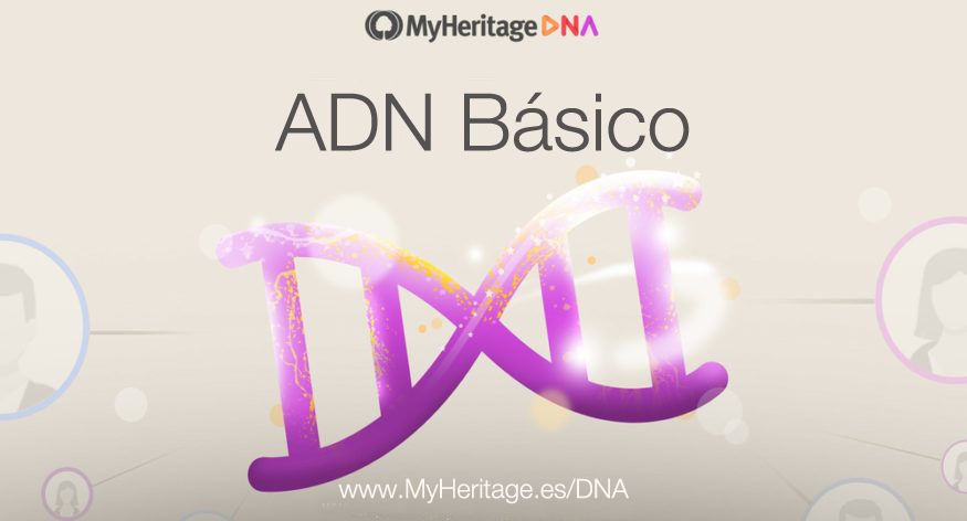 ADN Básico Capítulo 5: Aprende cómo funciona la prueba de ADN