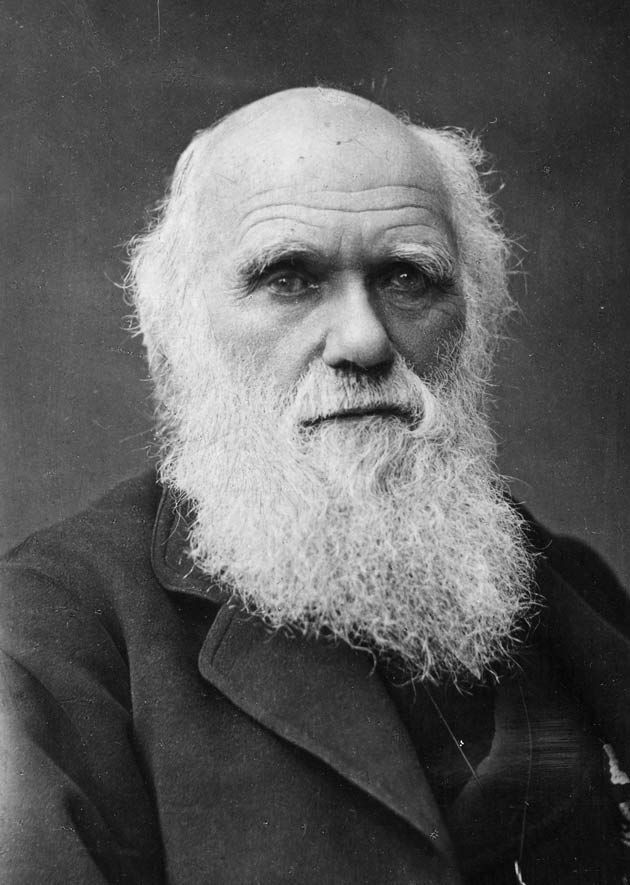 Charles Darwin, el padre de la teoría de la evolución