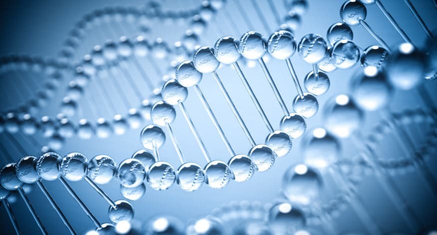 Día del ADN: 11 cosas que puede no saber aún sobre el ADN