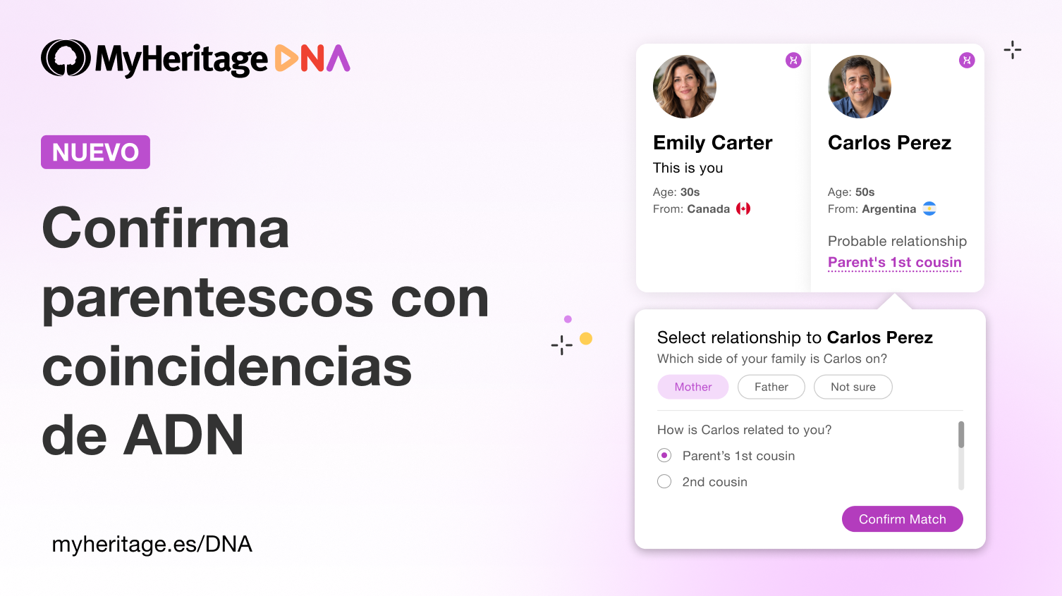 Novedad: Confirma Parentescos Conocidos con Coincidencias de ADN en MyHeritage