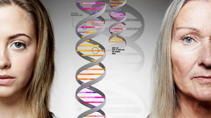 Post de Invitado: Introducción a la Genealogía Genética y su ADN