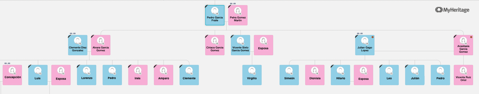 The descendants of Pedro García Fraile and Petra Gómez Martín on the MyHeritage family tree we constructed