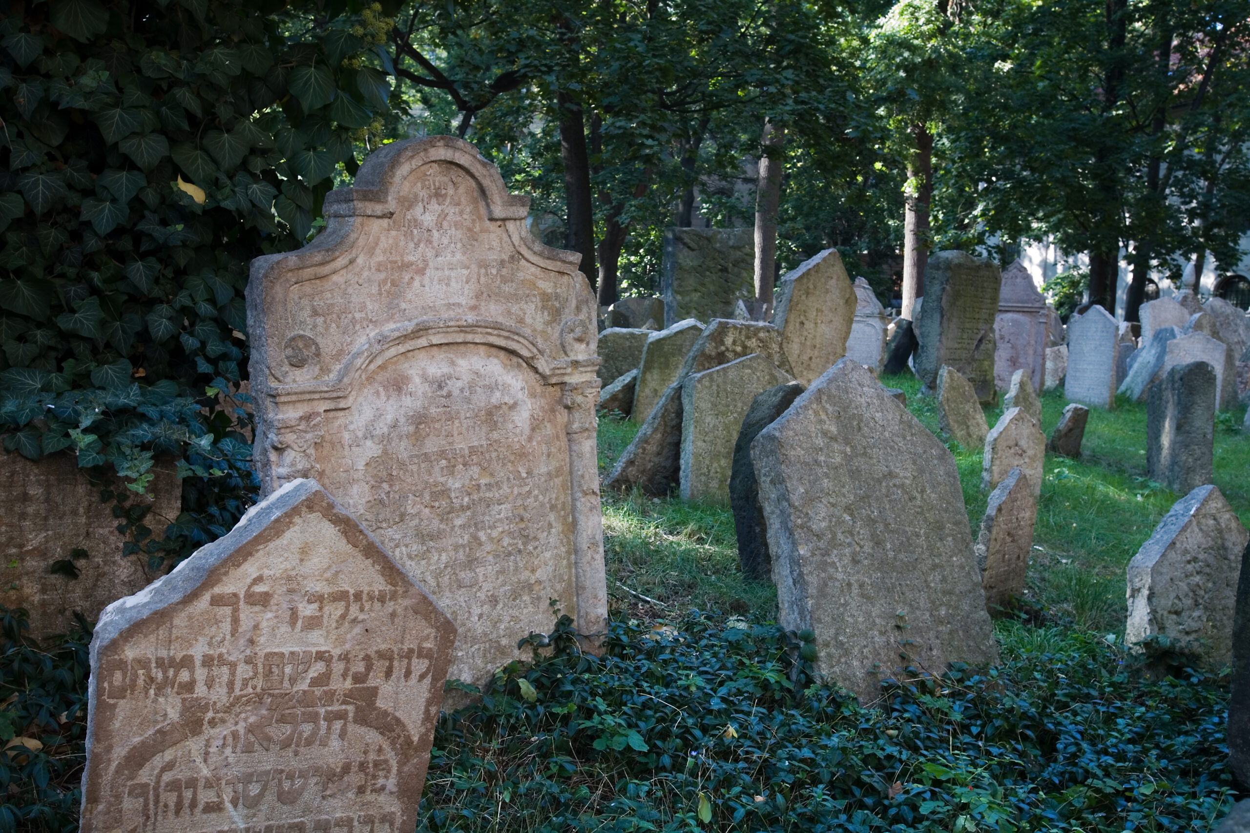 Cementerio_Genealogia
