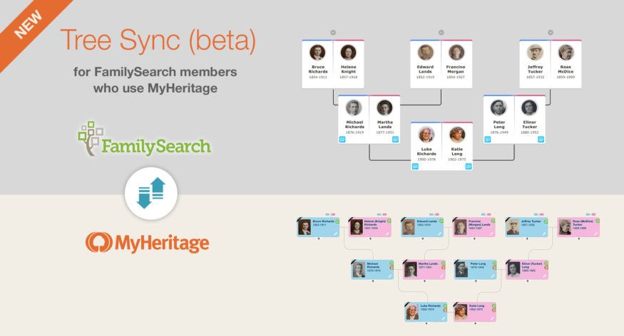 Nuevo FamilySearch Tree Sync (beta) permite a los usuarios de FamilySearch sincronizar sus árboles genealógicos con MyHeritage