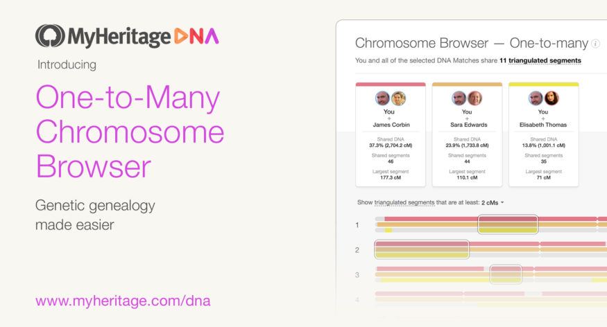 Importante Actualización del Buscador de Cromosomas para un mejor análisis de Coincidencias de ADN en MyHeritage