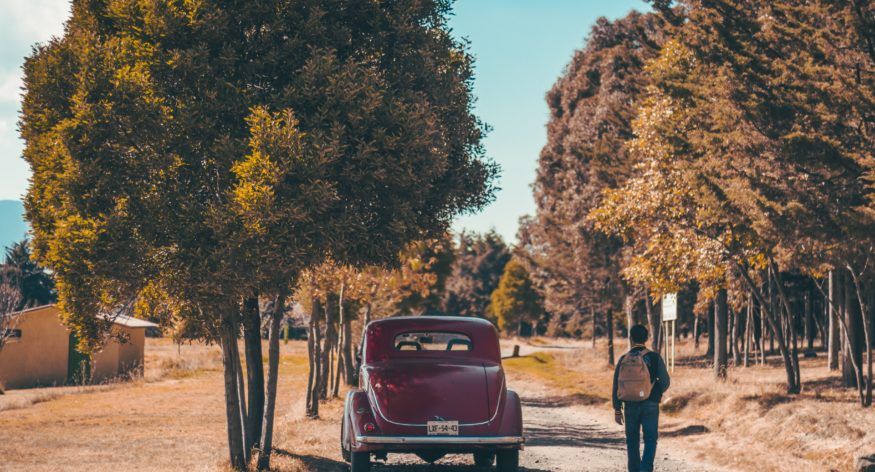 Post de Invitado: Realza la historia de tu familia